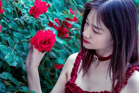 第三届中国国际供应链促进博览会开幕